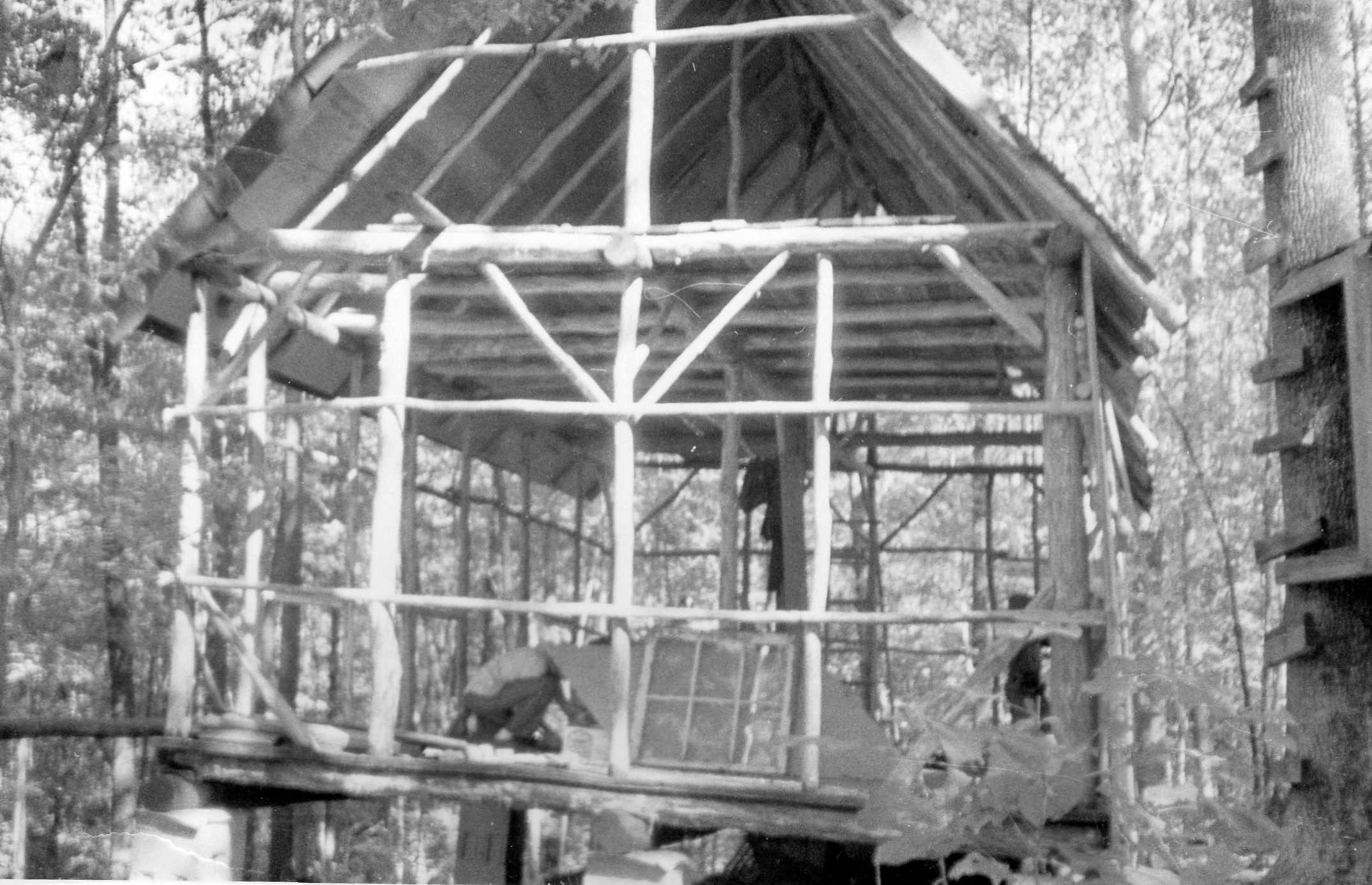 804 Cabin Fisk Forest 1974336